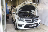 Установка софта и устранение неполадок DPF и EGR Mercedes Benz GL350d (Фото 3)